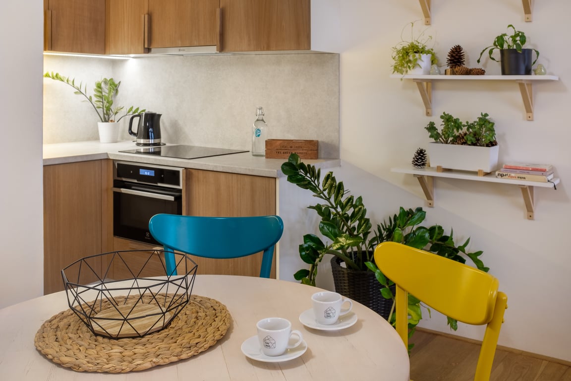 Deluxe One Bedroom Apartment