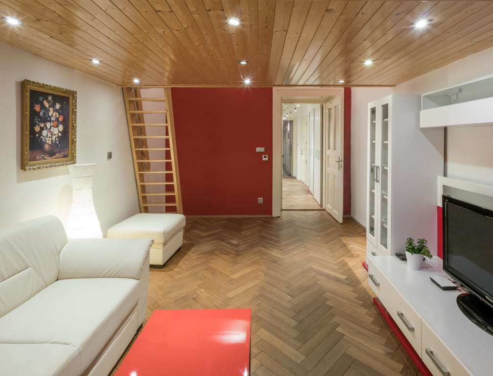One Bedroom Apartment with Terrace Julie