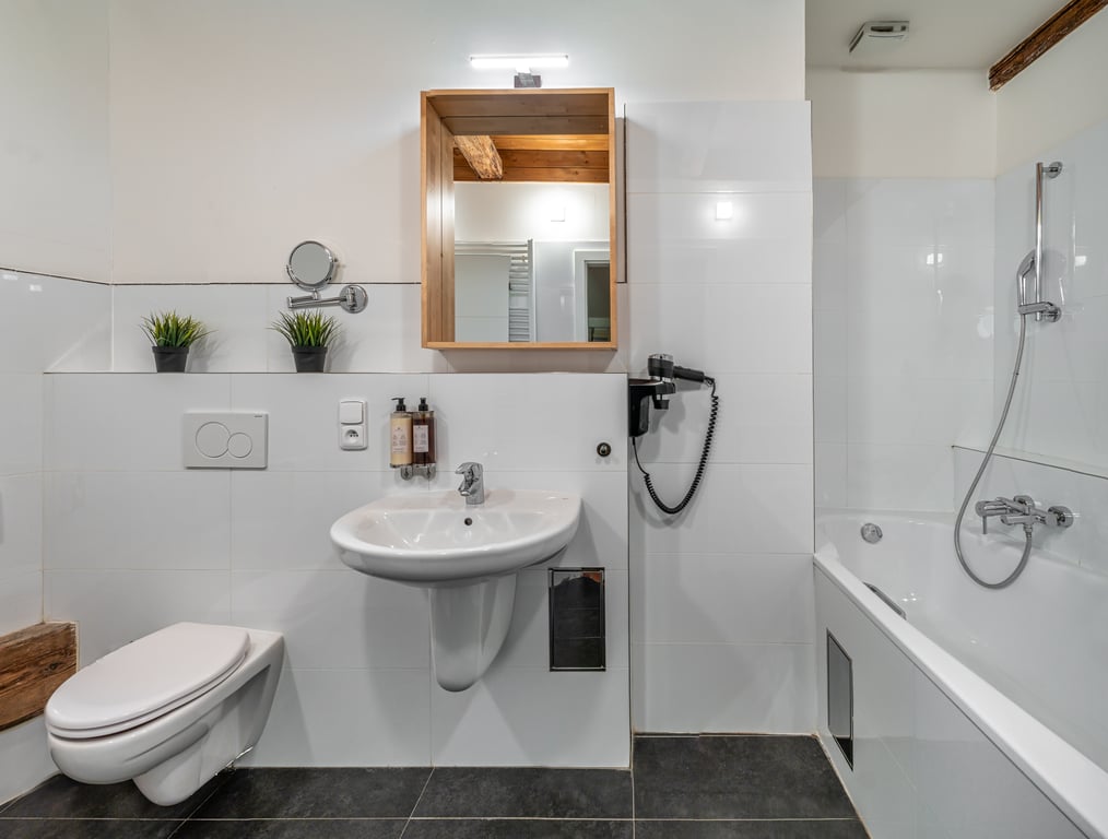 Apartmán Kepler se třemi ložnicemi a terasou