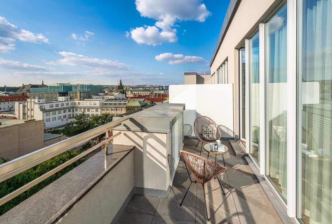 Deluxe One Bedroom Apartment with Terrace
