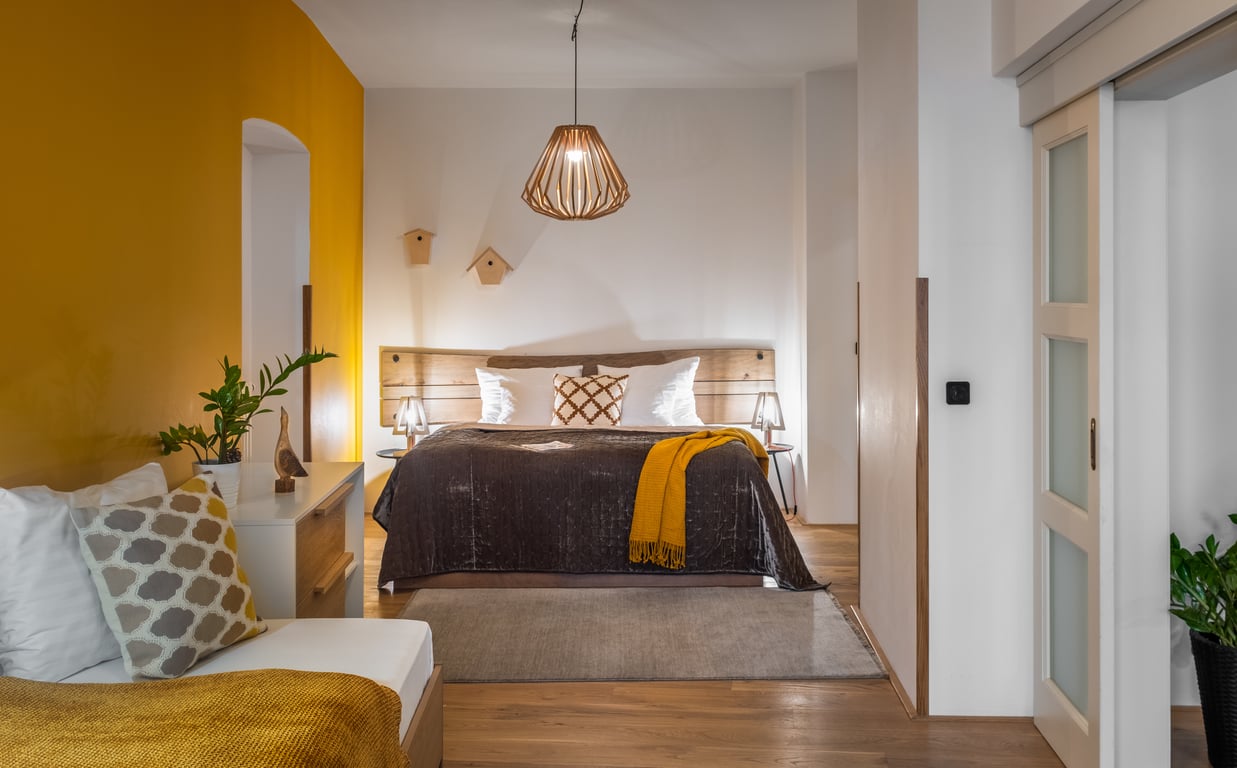 Deluxe One Bedroom Apartment