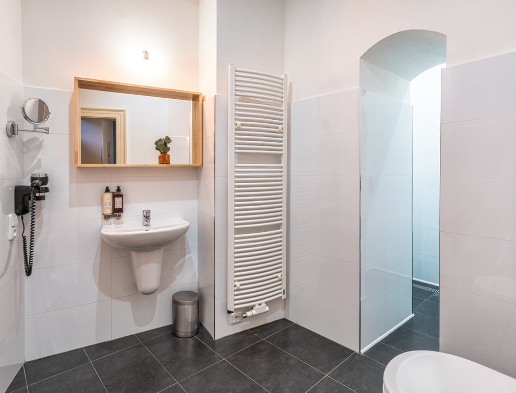 Apartmán Dvořák s jednou ložnicí