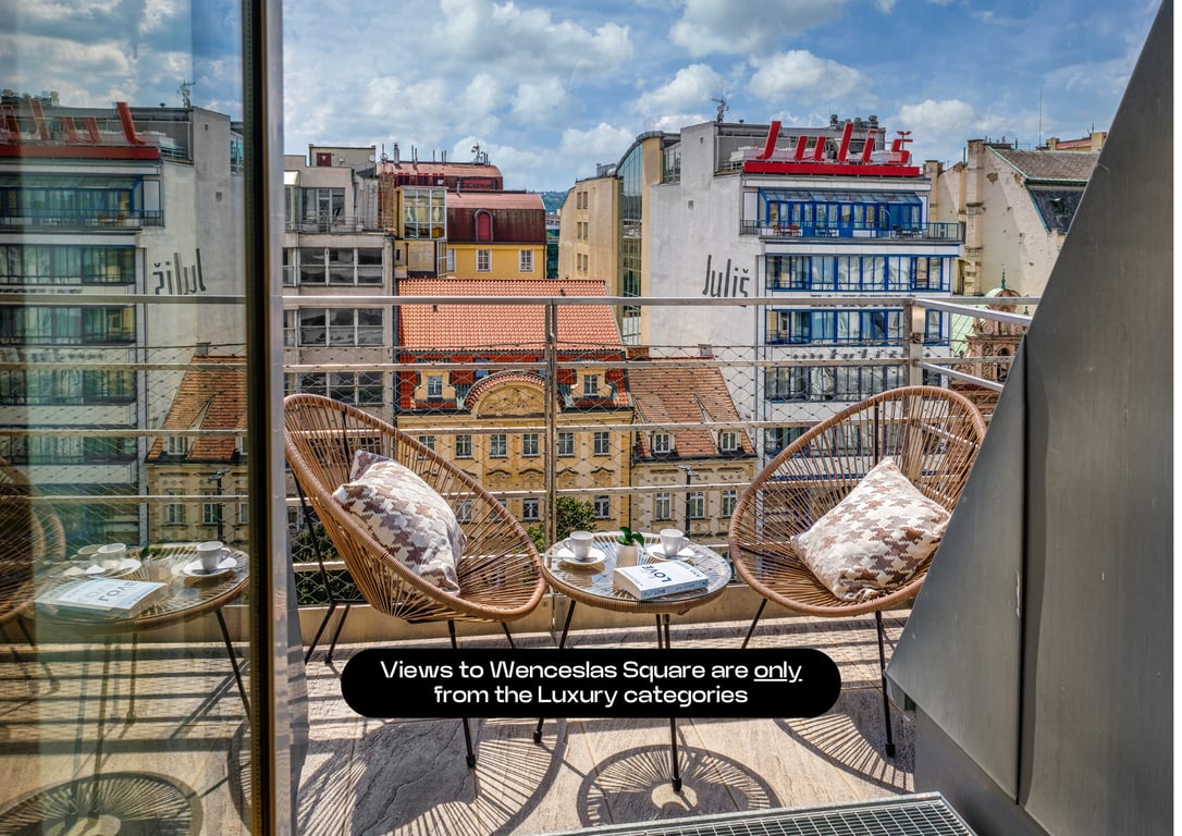 Luxury One Bedroom Apartment with Terrace