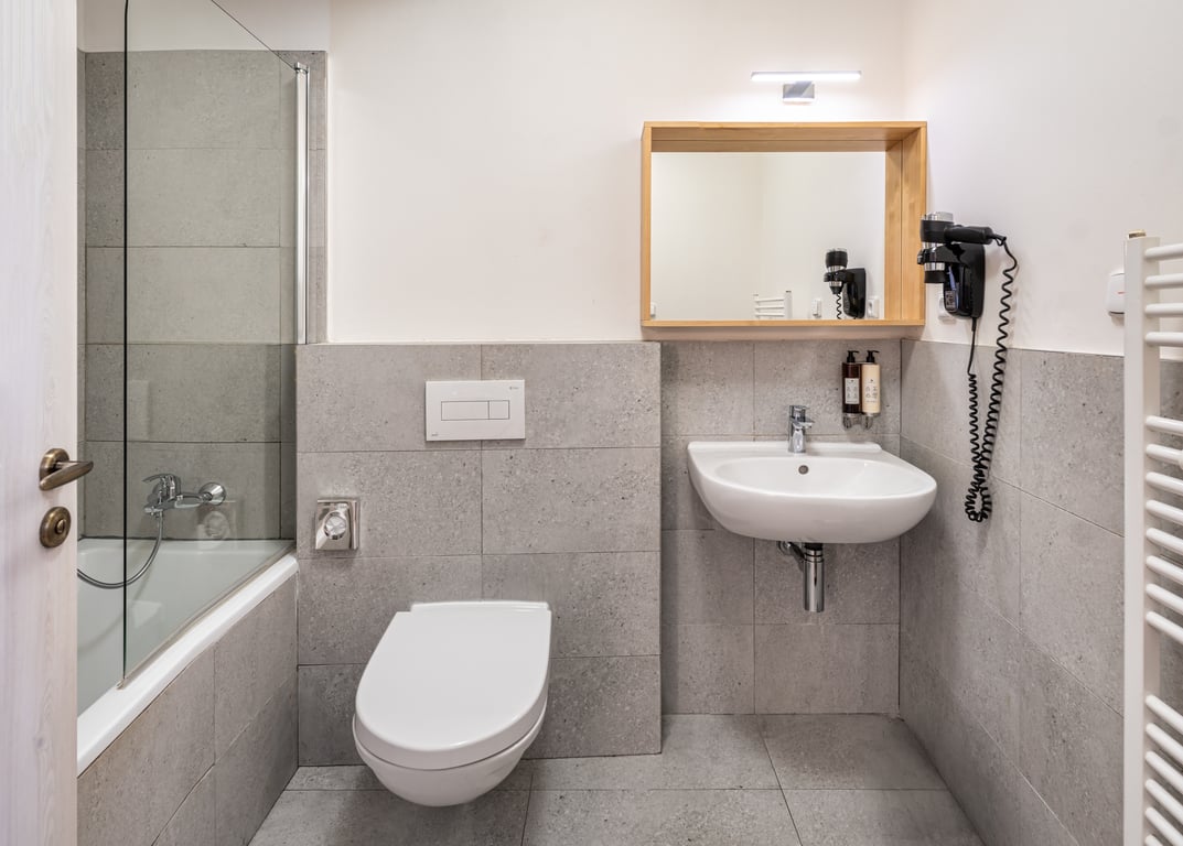 One Bedroom Apartment