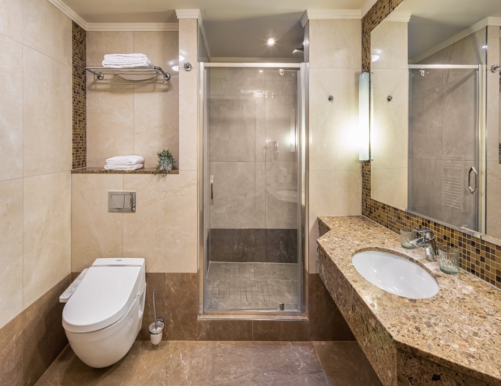 One Bedroom Apartment